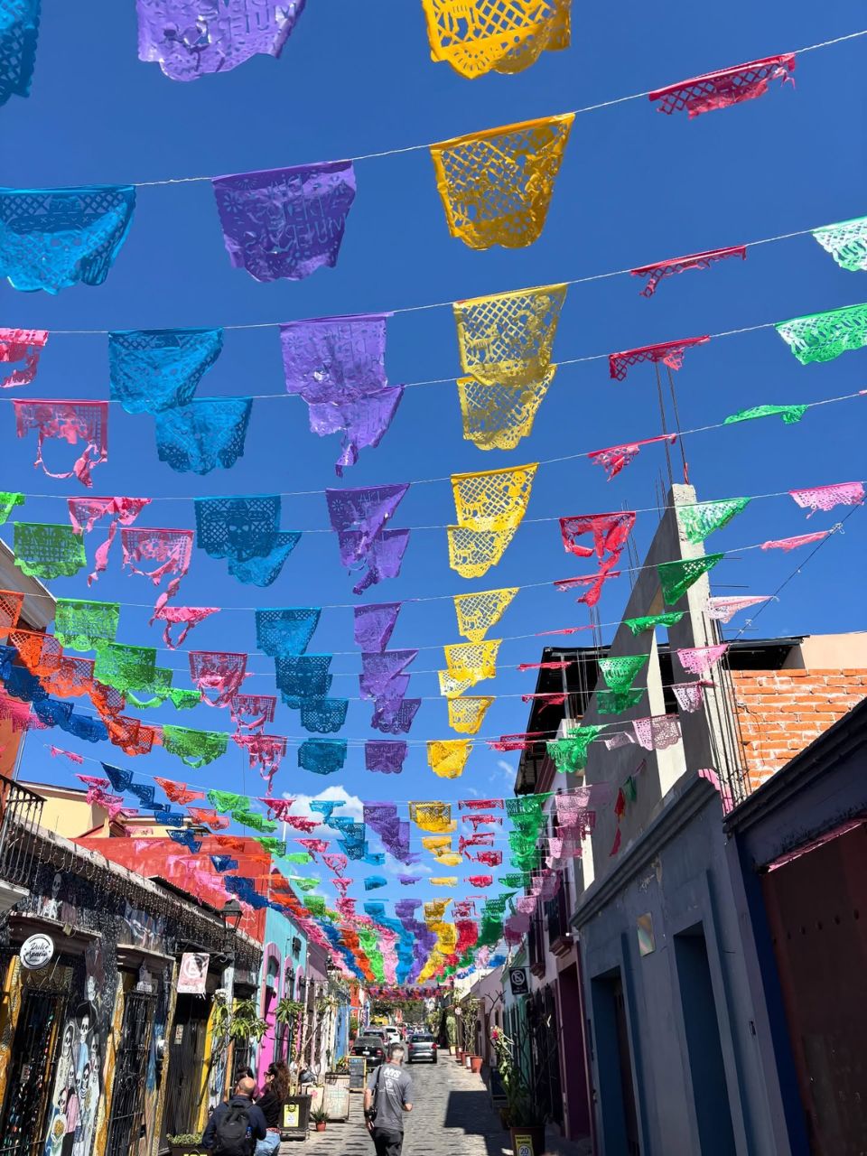 matzenta oaxaca diaries 4 2