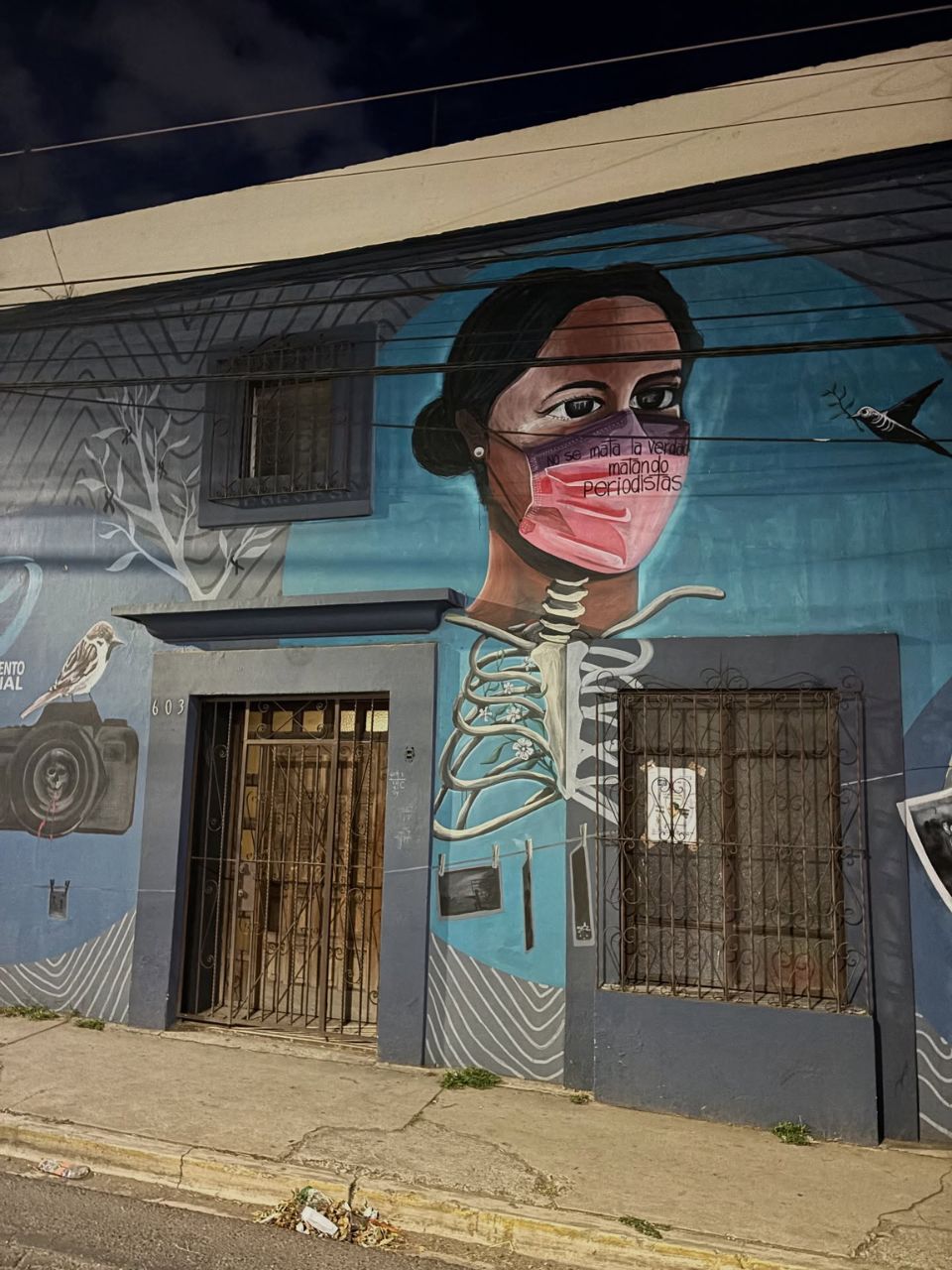 matzenta oaxaca diaries 4 4