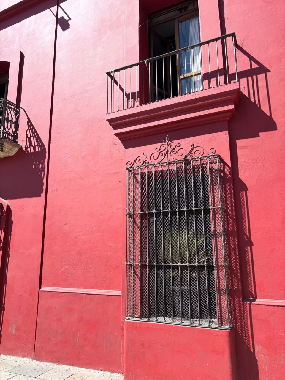 matzenta oaxaca diaries 4 8