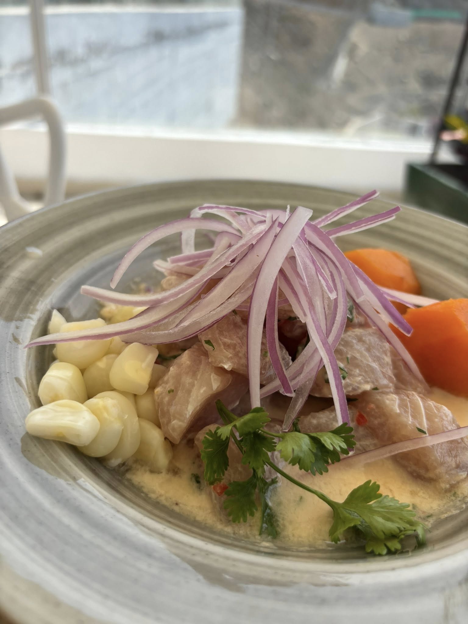 matzenta oaxaca diaries 6 1