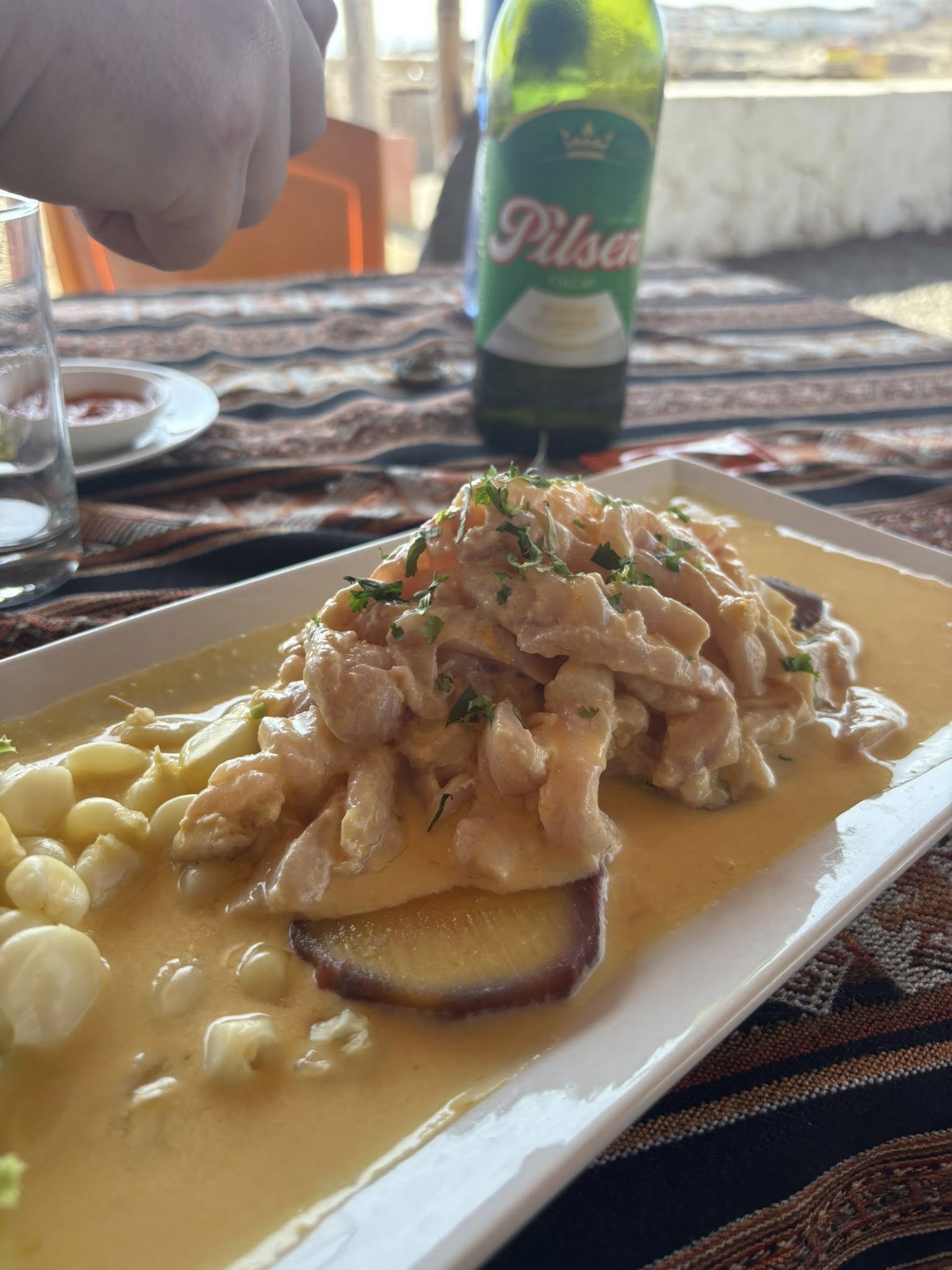 matzenta oaxaca diaries 6 4